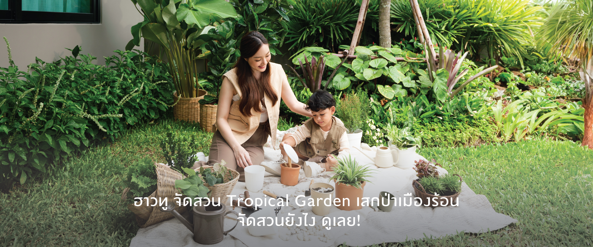 ฮาวทู จัดสวนข้างบ้าน Tropical Garden เสกป่าเมืองร้อน จัดสวนยังไง ดูเลย